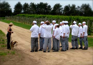 chefs in the vineyard