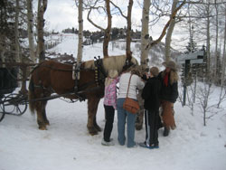 toma family with horse